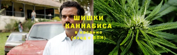 спайс Алзамай