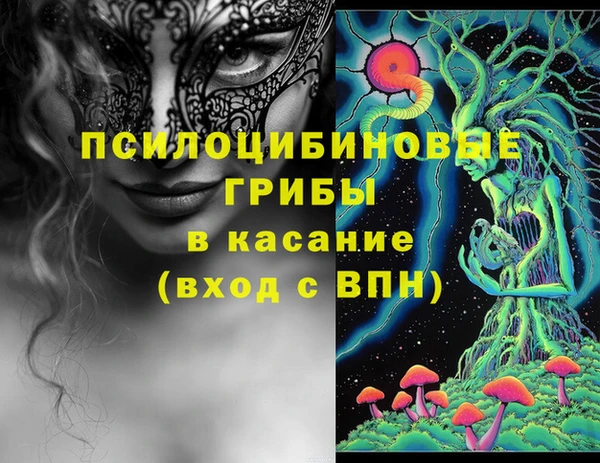 спайс Алзамай