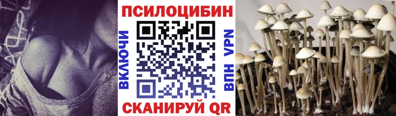 где купить наркотик  Константиновск  Псилоцибиновые грибы ЛСД 